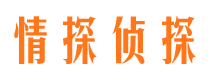 应城市婚外情调查